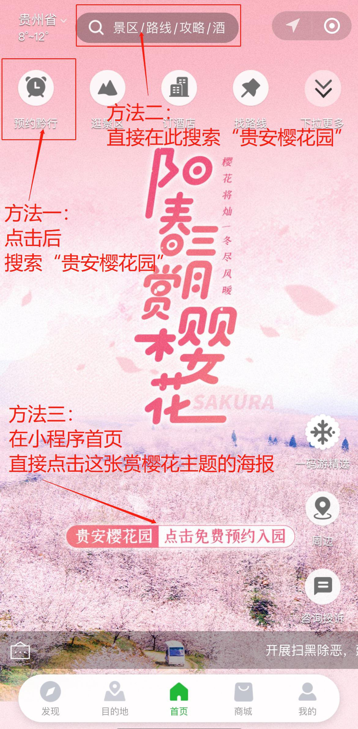 2021年贵安樱花园游览指南（预约+交通+防疫须知）