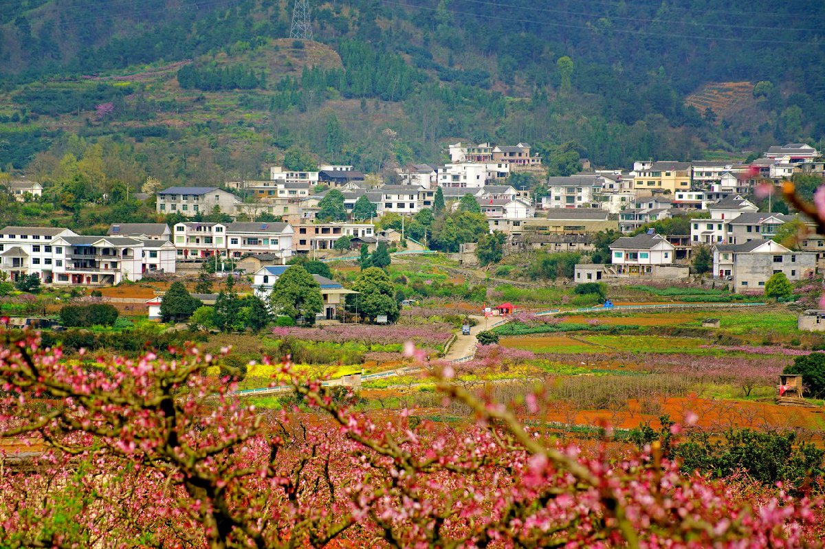 贵阳2021永乐桃花赏花攻略（地址+交通指南+花期）