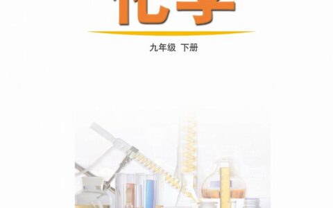 义务教育教科书·化学九年级下册（鲁教版）PDF高清文档下载