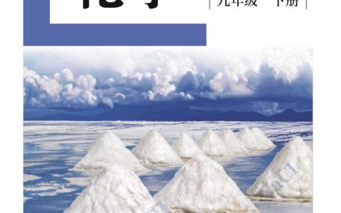 盲校义务教育实验教科书化学九年级下册（供低视力生使用）PDF高清文档下载