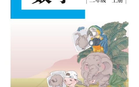 盲校义务教育实验教科书数学二年级上册（供低视力生使用）PDF高清文档下载