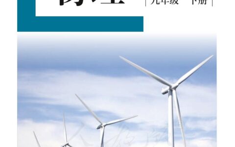 盲校义务教育实验教科书物理九年级下册（供低视力生使用）PDF高清文档下载