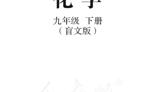 盲校义务教育实验教科书化学九年级下册PDF高清文档下载