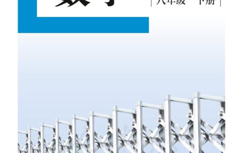 盲校义务教育实验教科书数学八年级下册（供低视力生使用）PDF高清文档下载