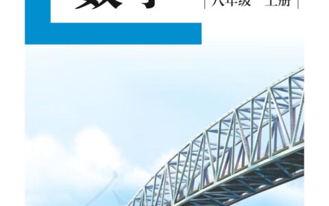 盲校义务教育实验教科书数学八年级上册（供低视力生使用）PDF高清文档下载