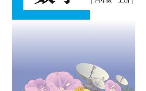 盲校义务教育实验教科书数学四年级上册（供低视力生使用）PDF高清文档下载