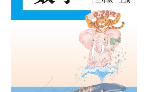 盲校义务教育实验教科书数学三年级上册（供低视力生使用）PDF高清文档下载